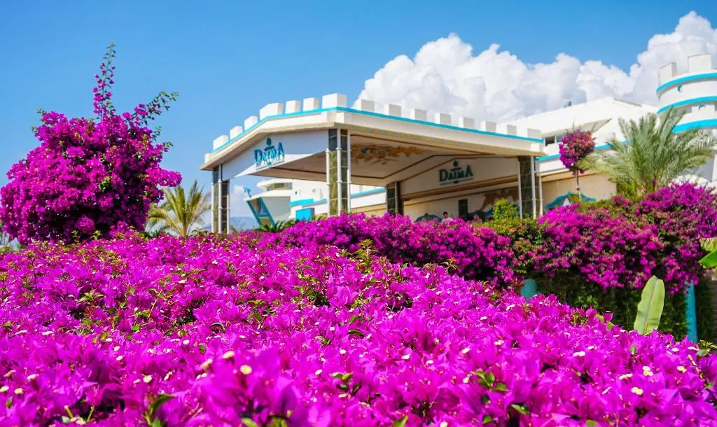 General view, Daima Biz Hotel, Antalya