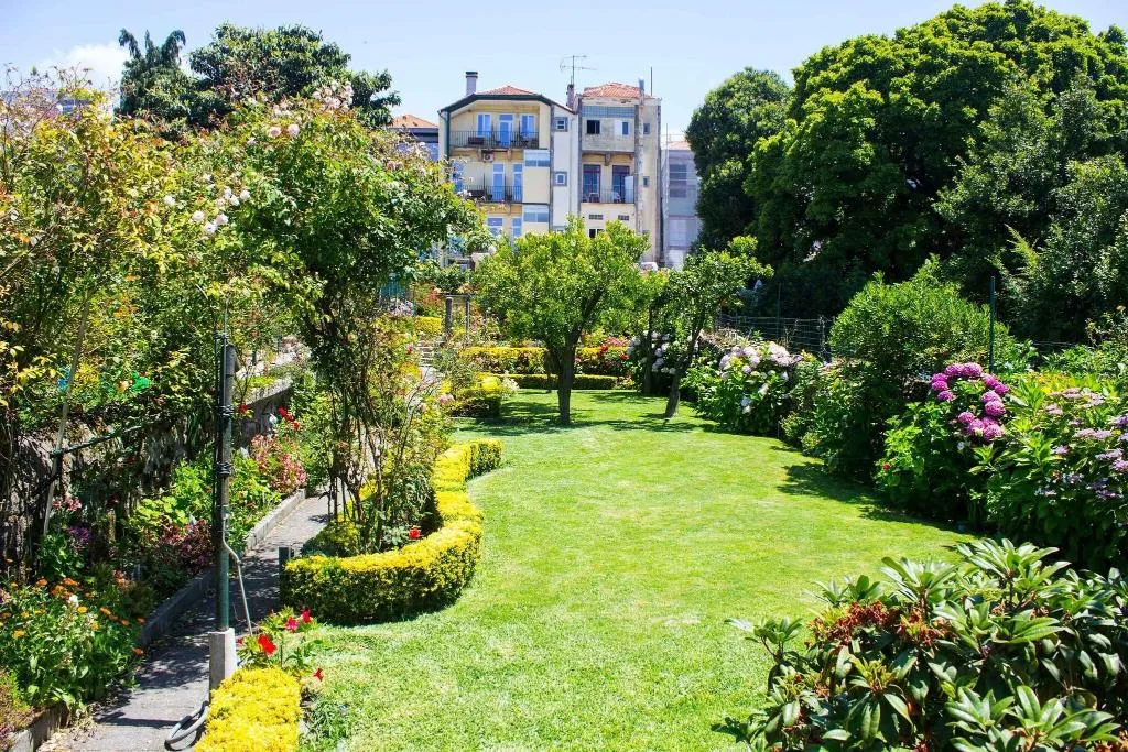 Terrace, Estoril Porto, Porto