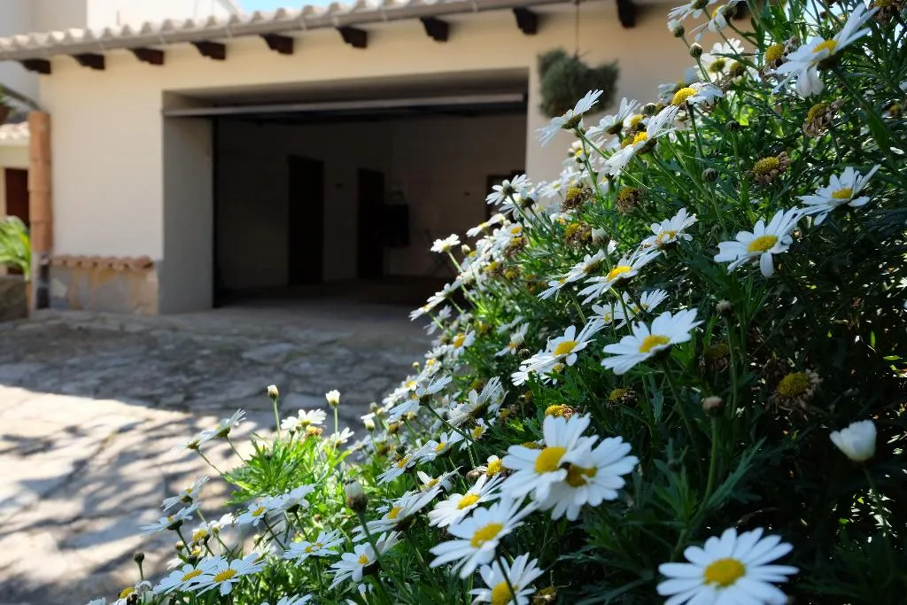 Room, Villa Carmen, Majorca
