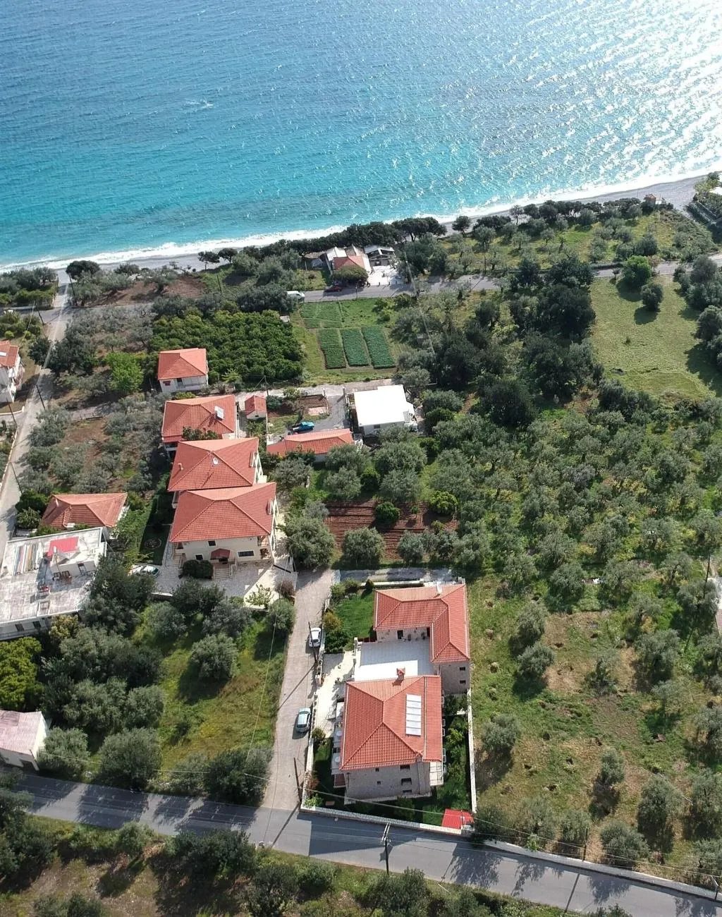 General view, Byzantinon, Athens