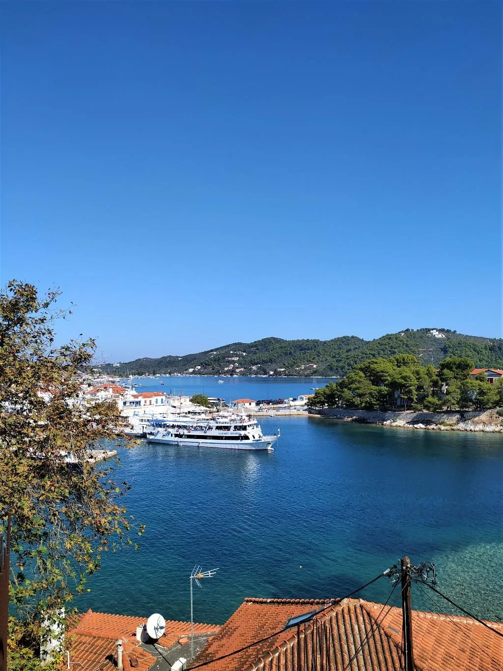APARTMENT CAPACITY 4 Room, Argo, Skiathos