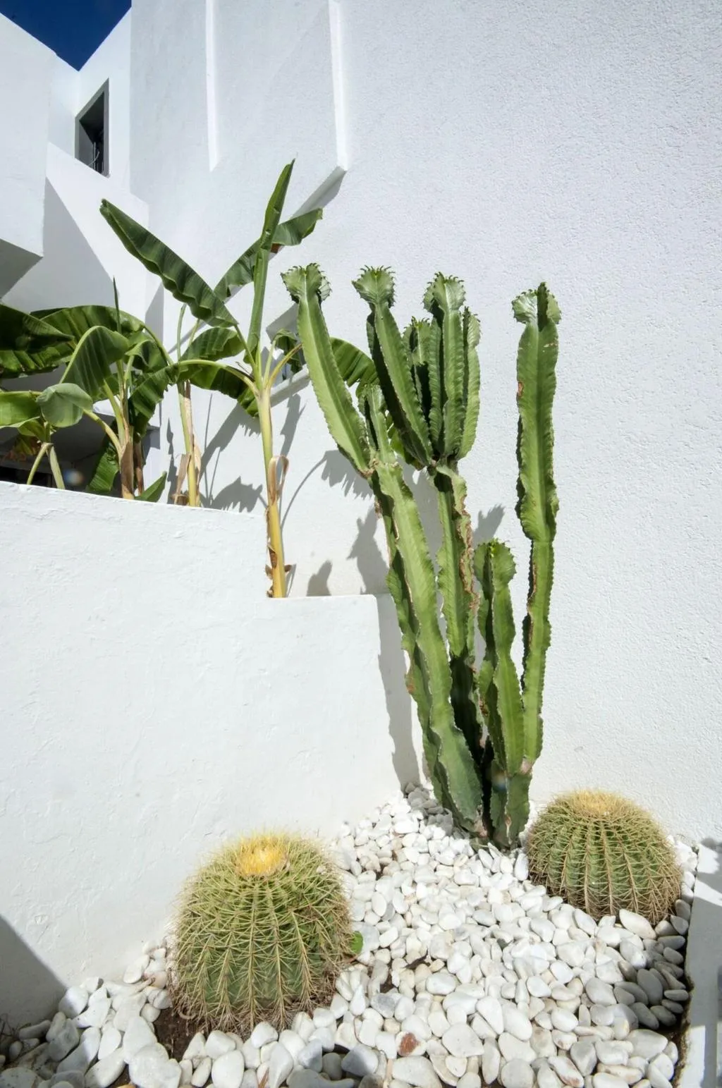 Terrace, Pudra Hotel, Bodrum