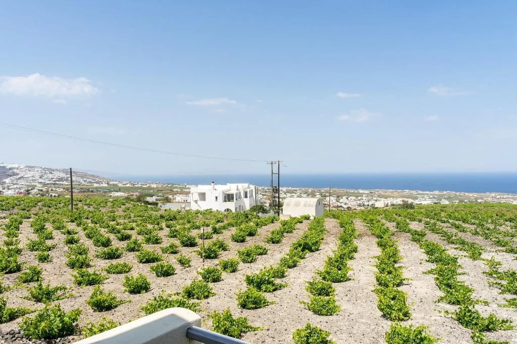 General view, Ampelos Executive Houses, Santorini