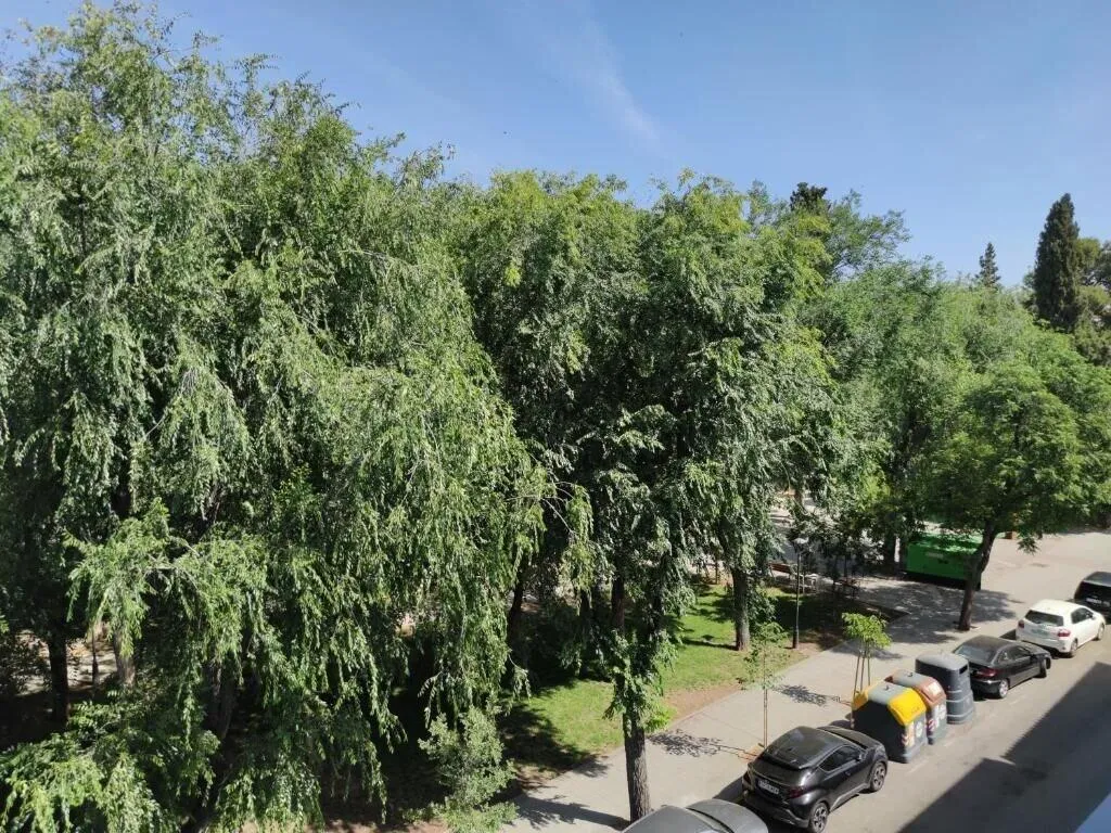 General view, Familyhostel, Madrid