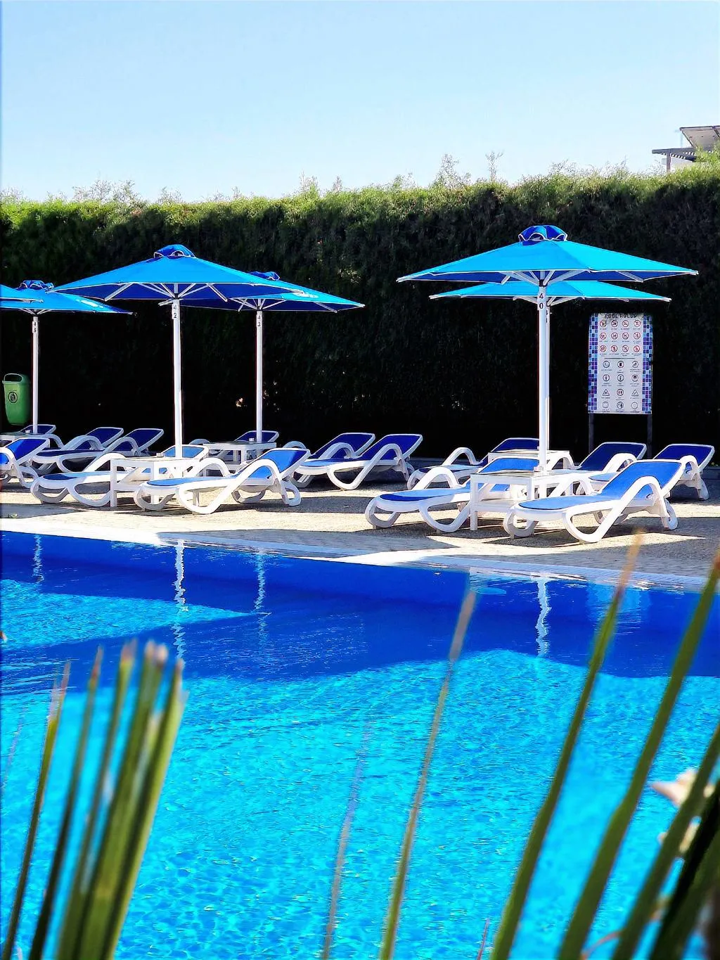Pool, Sveltos Hotel, Cyprus