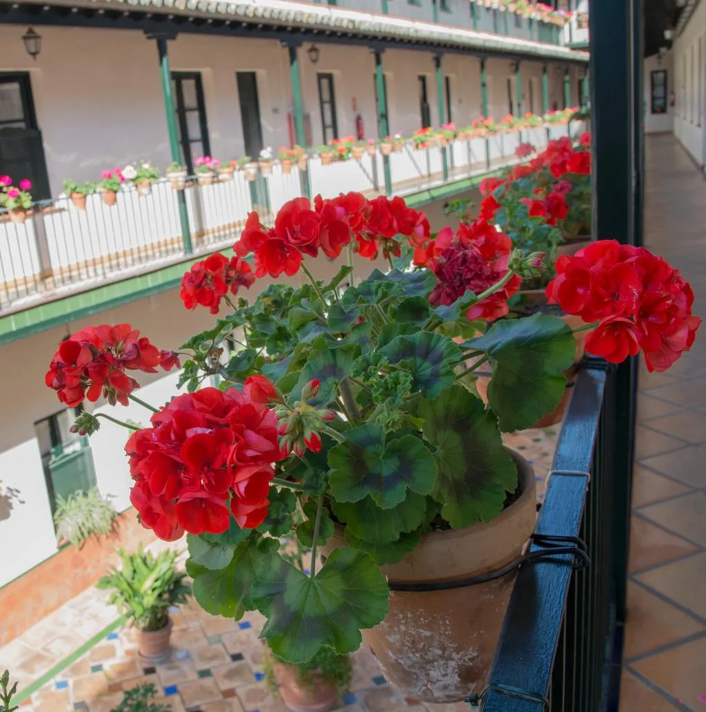 Lobby, Corral de los Chícharos, Seville