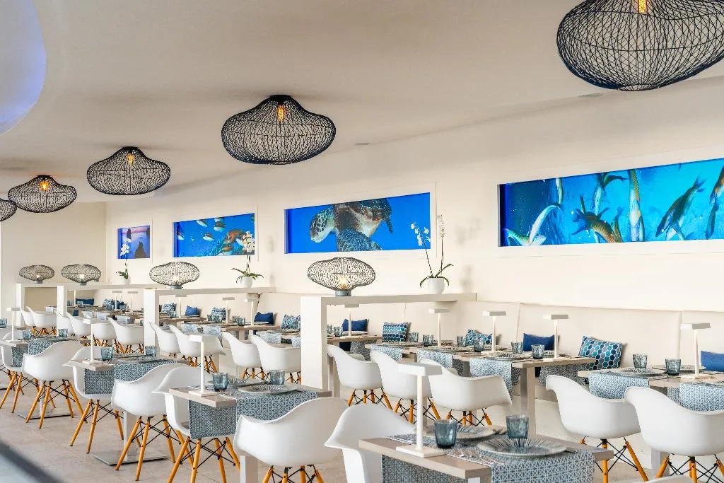 Restaurant, HOVIMA Cool Costa Adeje, Tenerife