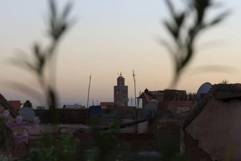 General view, Riad Le Coq Fou, Marrakech