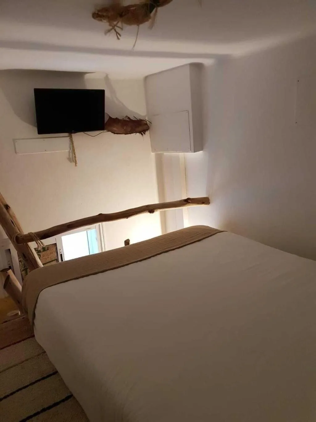Room, Cactus Host, Gran Canaria