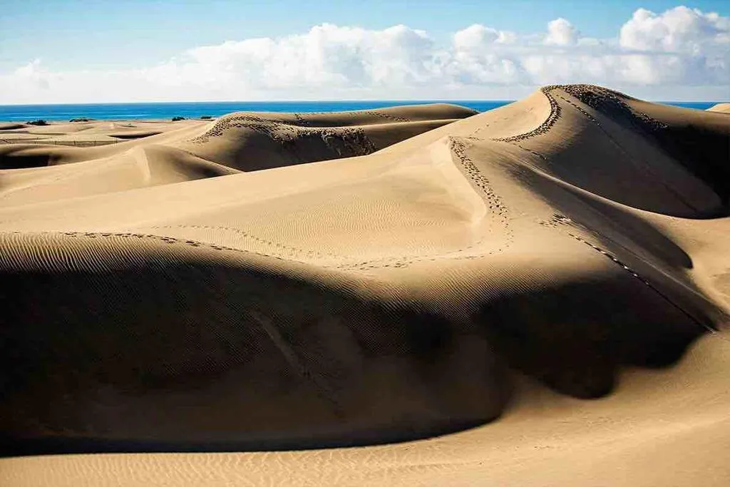 Beach, Maspalomas Oasis Club, Gran Canaria