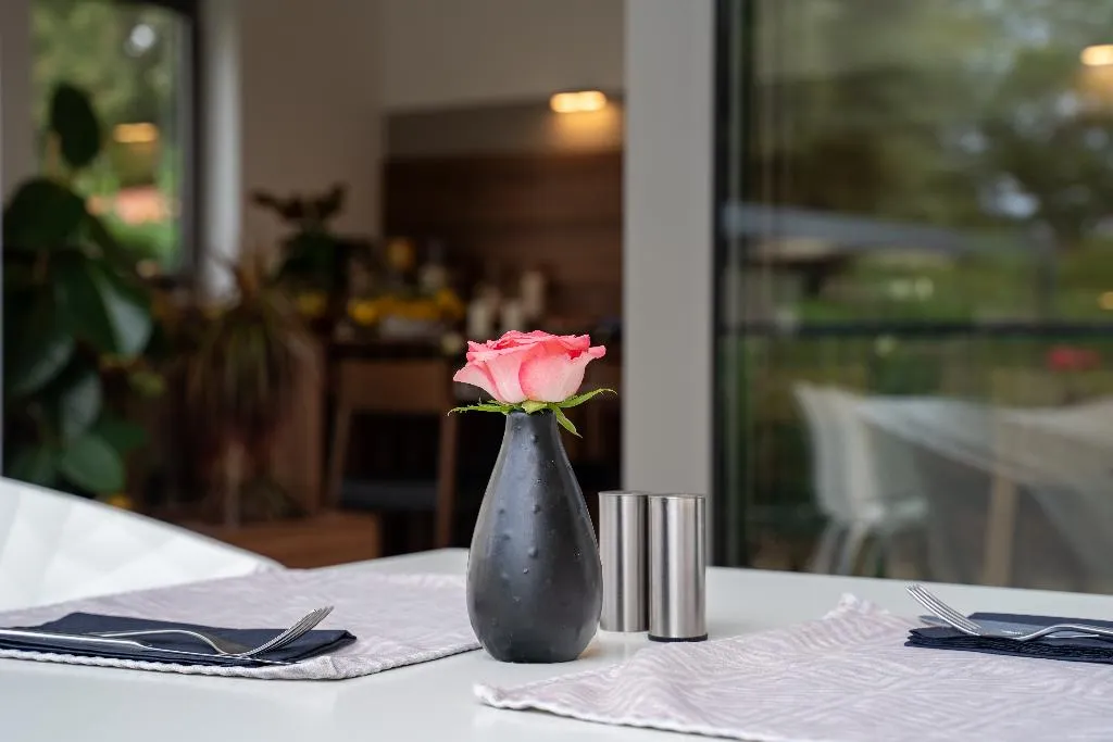 Terrace, Residence Vaal, Istria