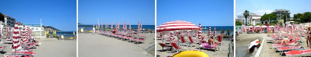 Beach, Orchidea, Naples