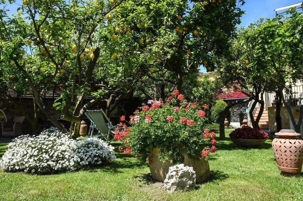 Terrace, Antiche Mura, Naples
