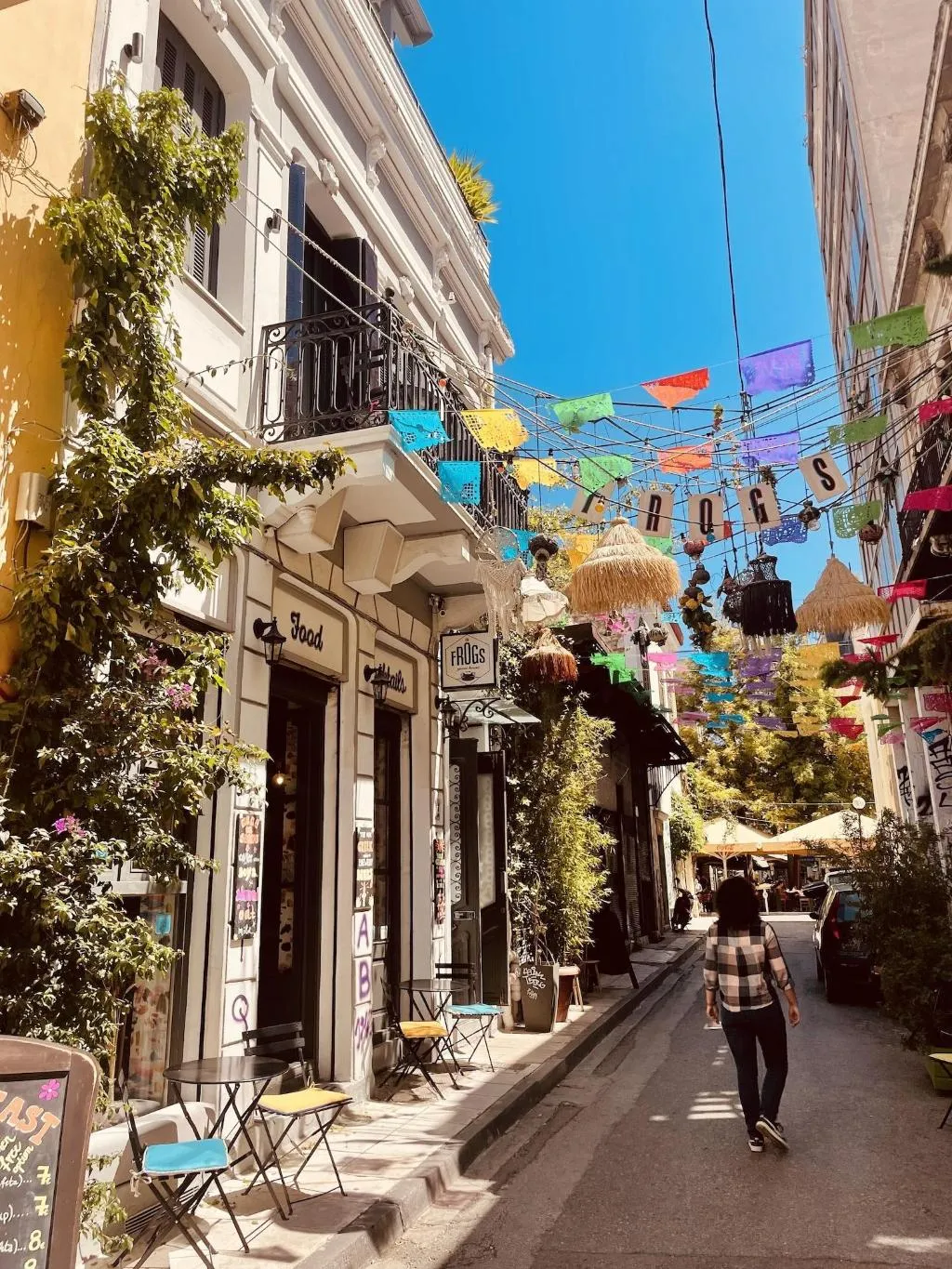 General view, The Frogs Guesthouse, Athens
