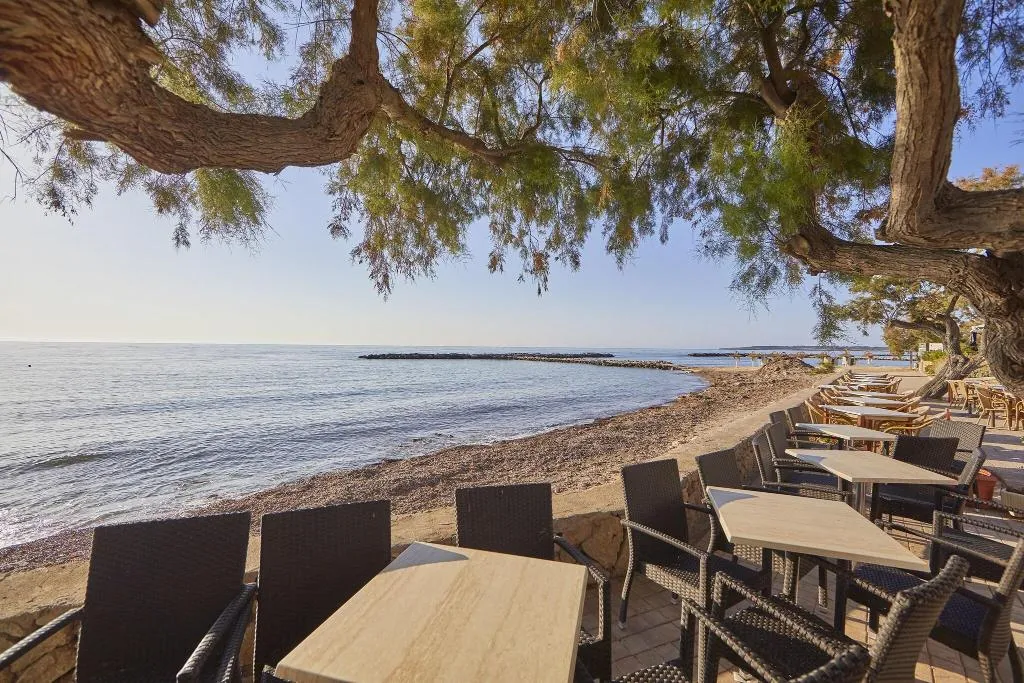 Bar, Hotel Ilusion Moreyo Adults Only, Majorca