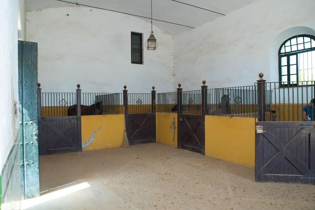 Sports and Entertainment, Hacienda la Indiana, Andalucia