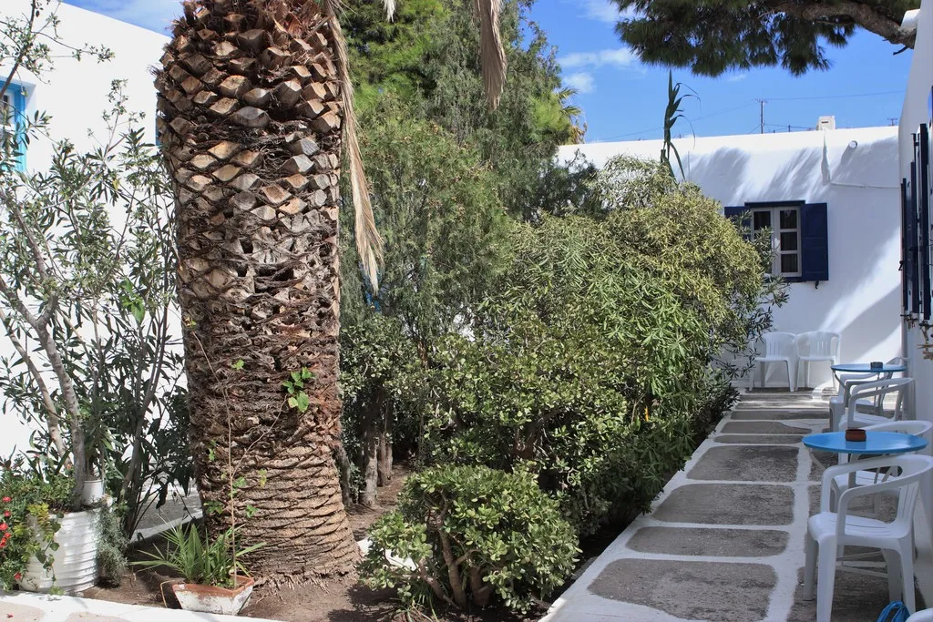 General view, Aphrodite Garden Studios & Olympia Anex, Mykonos