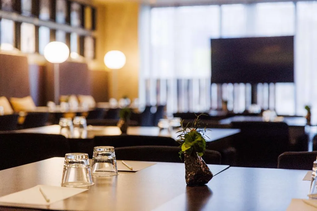 Conferences, Palace Hotel Tallinn, a member of Radisson Individ, Tallinn