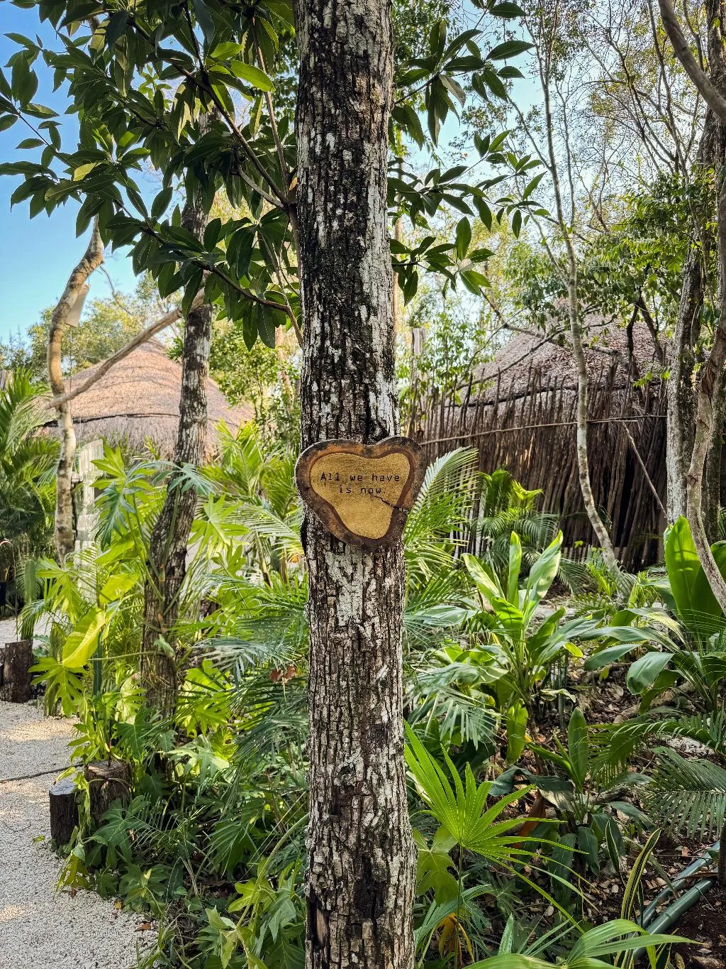 Terrace, The Yellow Nest, Cancun Area