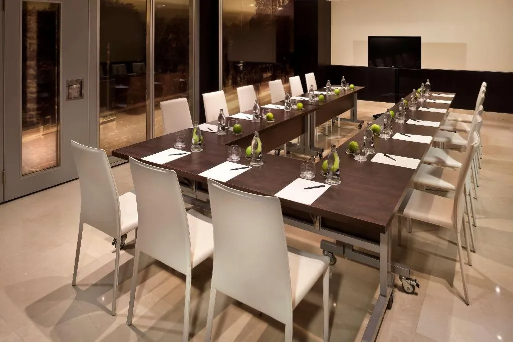 Conferences, Melia Madrid Princesa, Madrid
