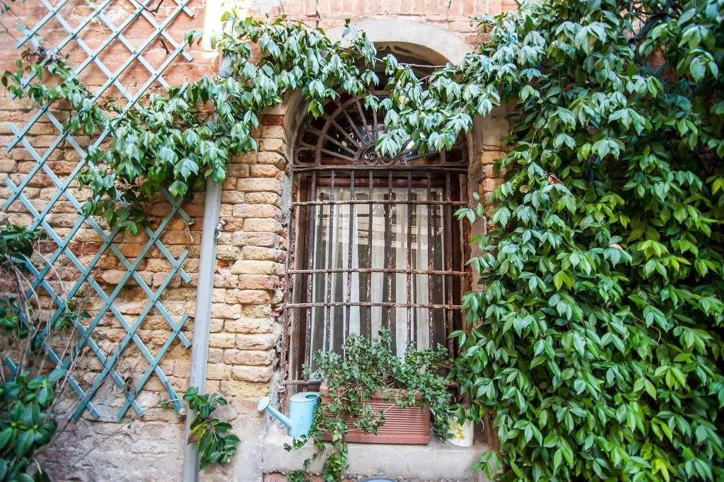 Terrace, 3749 Ponte Chiodo Guest House, Venice