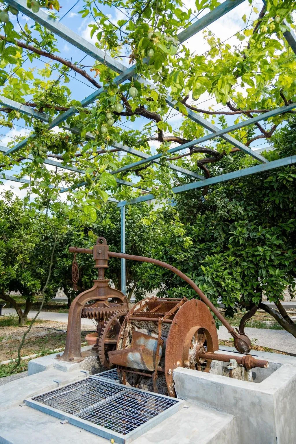 Terrace, Ilyssion Studios, Rhodes