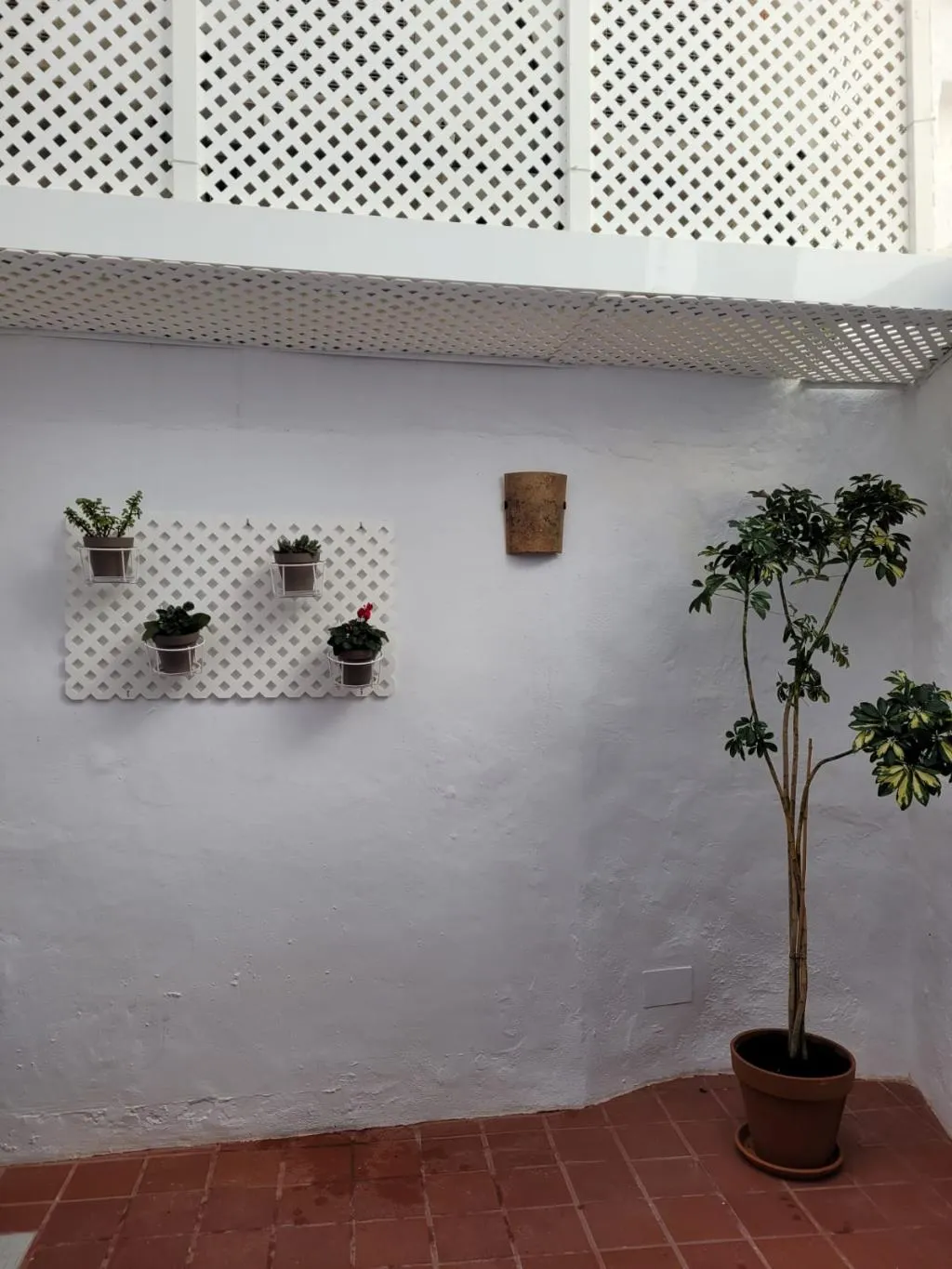 Terrace, Port Antic Ciutadella, Menorca