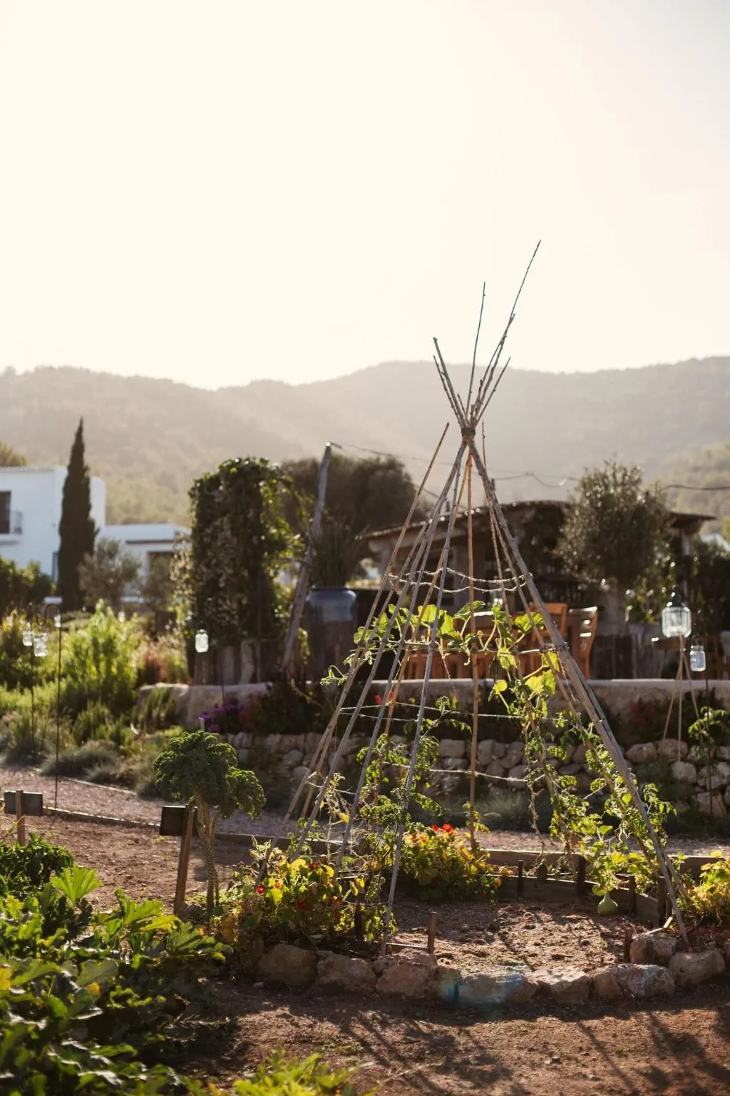 Restaurant, Casa Maca (Es Trull de Can Palau), Ibiza