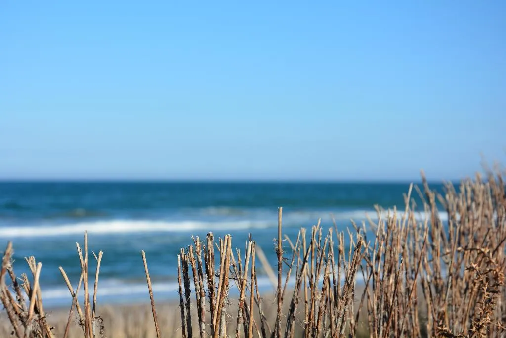 General view, You&Co.Saler Beach Boutique, Valencia