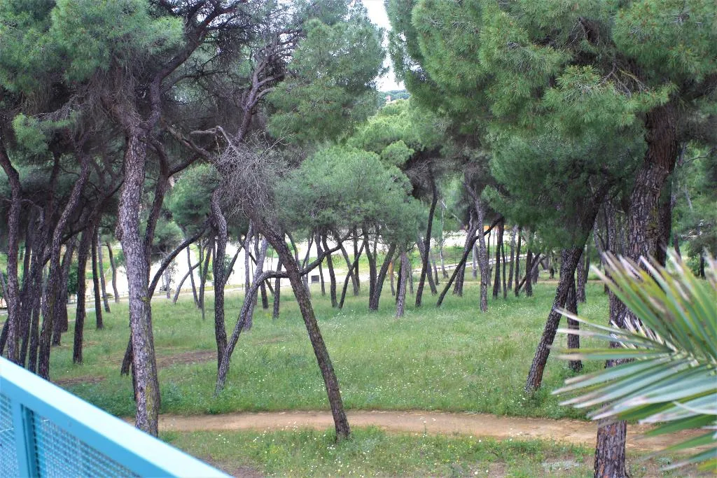 Terrace, Legado Oromana, Andalucia