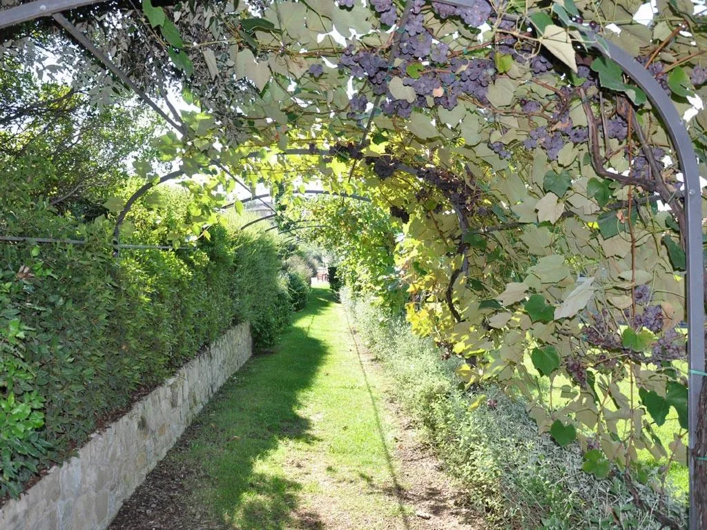 General view, Borgo il Melone, Perugia
