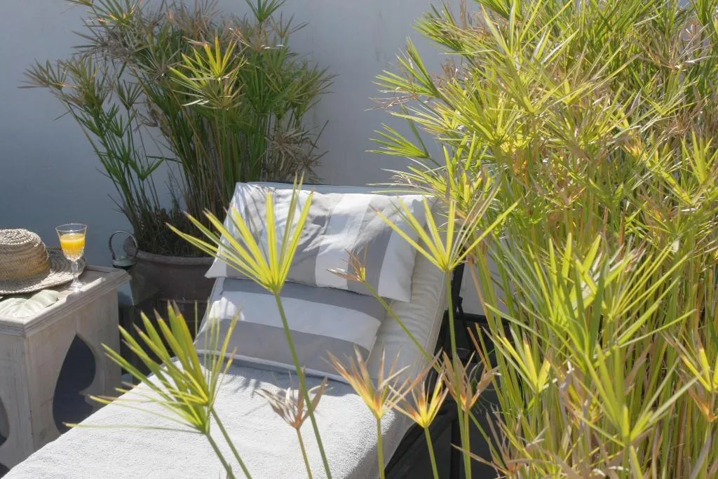 Terrace, Dar Seven, Marrakech