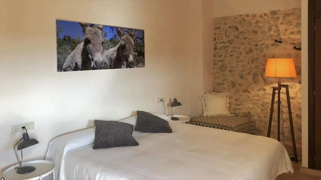 Room, Vista De La Vila, Majorca