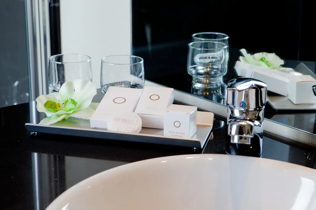 Double or Twin STANDARD Room, Hotel Arosa, Madrid