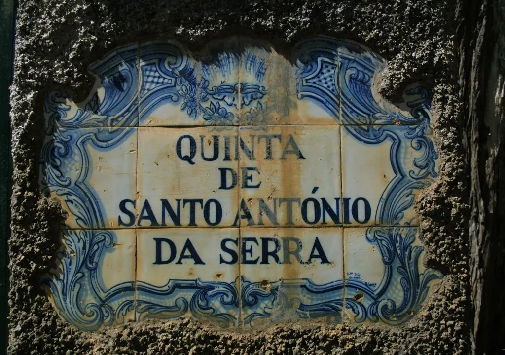General view, Quinta Santo Antonio Da Serra, Madeira