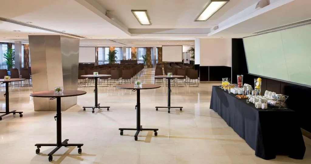 Conferences, Melia Madrid Princesa, Madrid