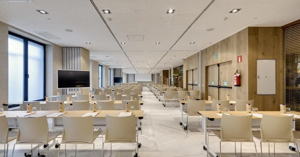 Conferences, Melia Madrid Serrano, Madrid