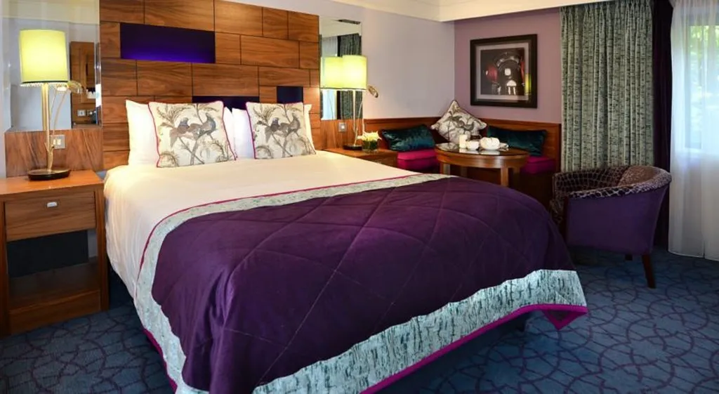 DOUBLE STANDARD Room, Clontarf Castle, Dublin