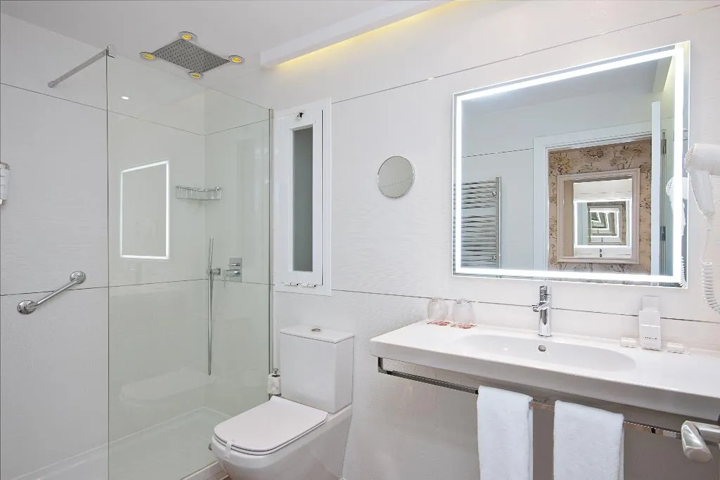 DOUBLE SINGLE USE WITH VIEWS Room, Grupotel Mayorazgo, Madrid