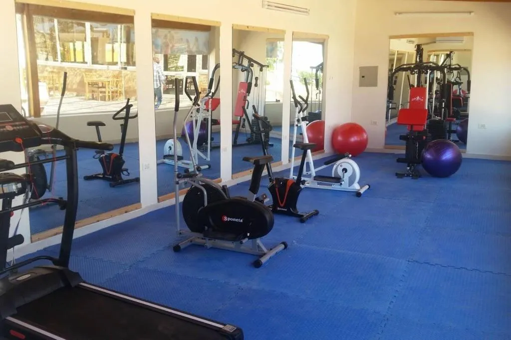 Sports and Entertainment, Silver Beach Boutique Hotel, Red Sea Riviera