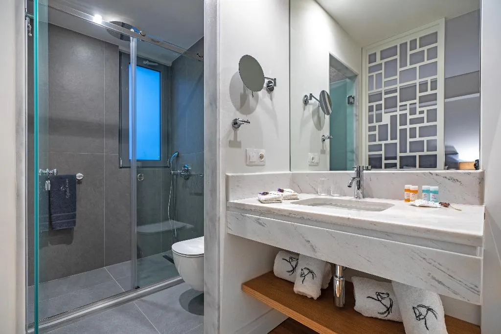 Double or Twin STANDARD Room, Glyfada Riviera Hotel, Athens