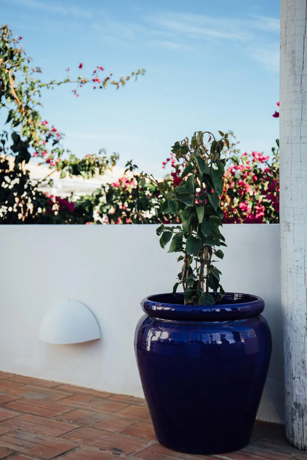 DOUBLE DELUXE Room, Octant Vila Monte, Algarve