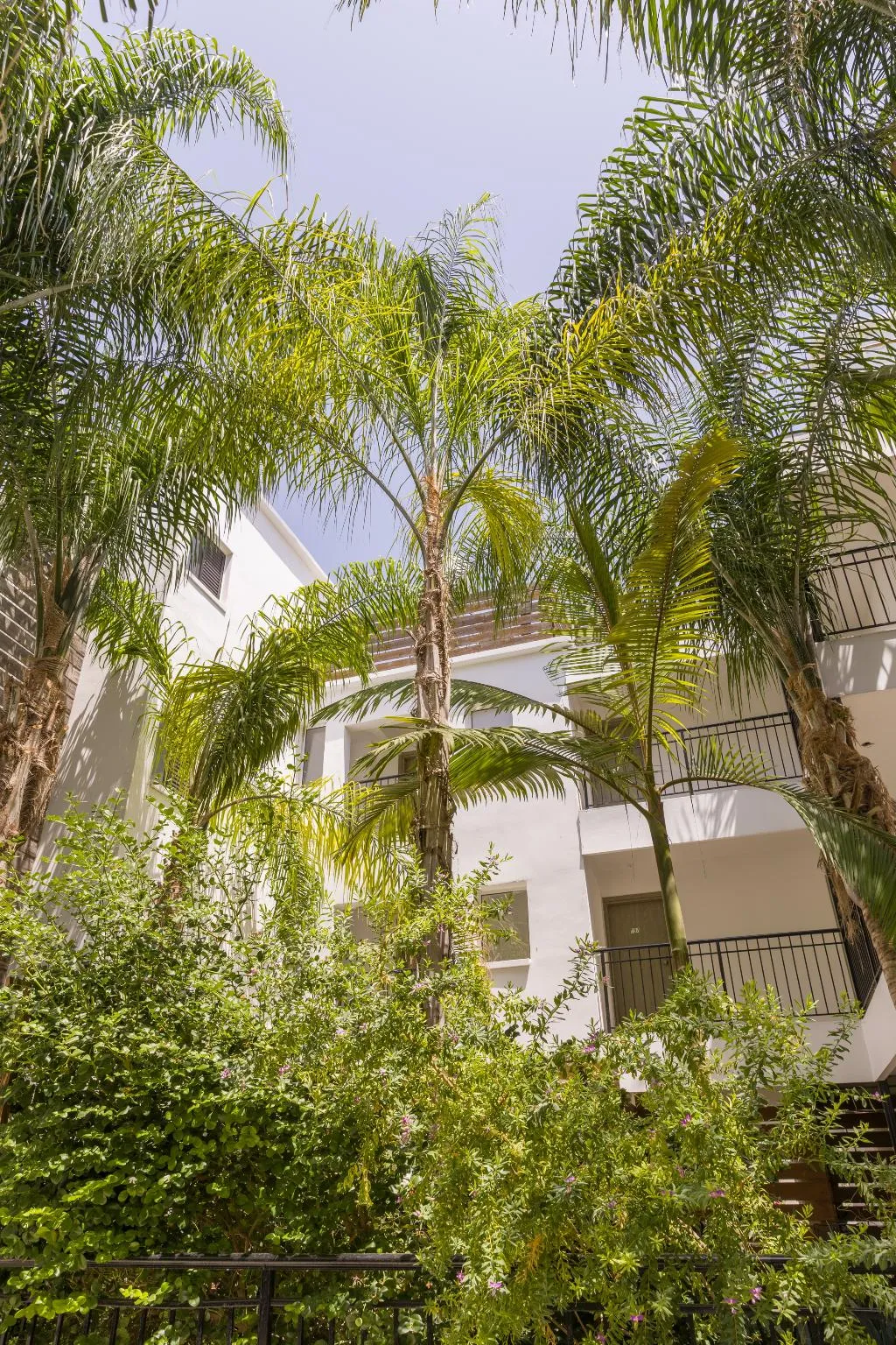General view, Alecos Hotel Apts, Cyprus