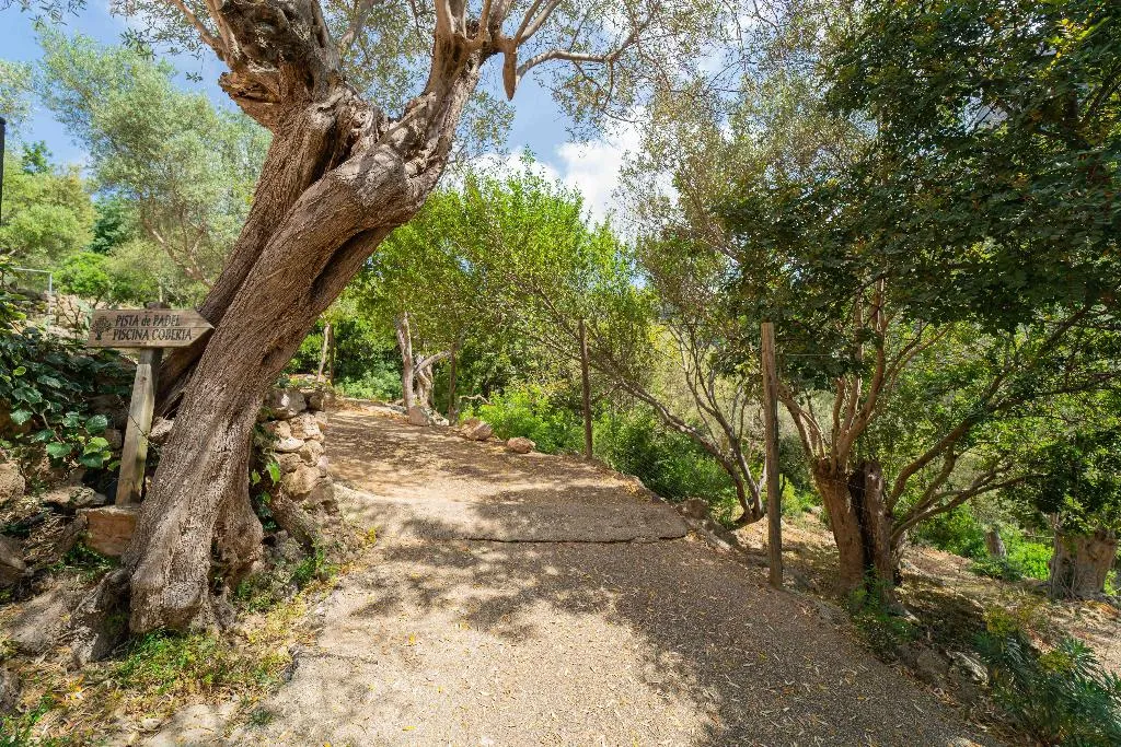 Sports and Entertainment, Hotel Rural S'Olivaret, Majorca