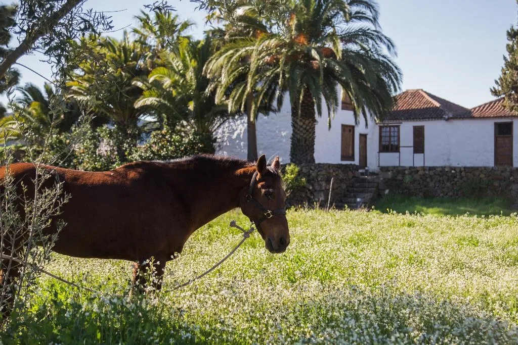 General view, La Casona Del Patio, Tenerife