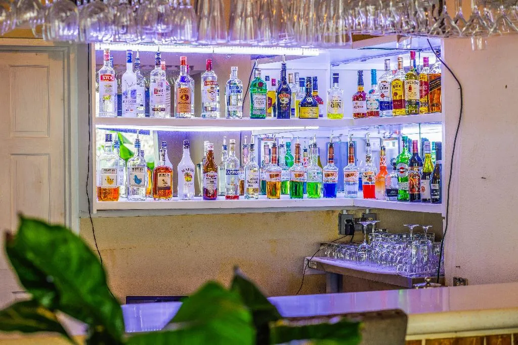 Bar, Blue Horizon Hotel, Barbados