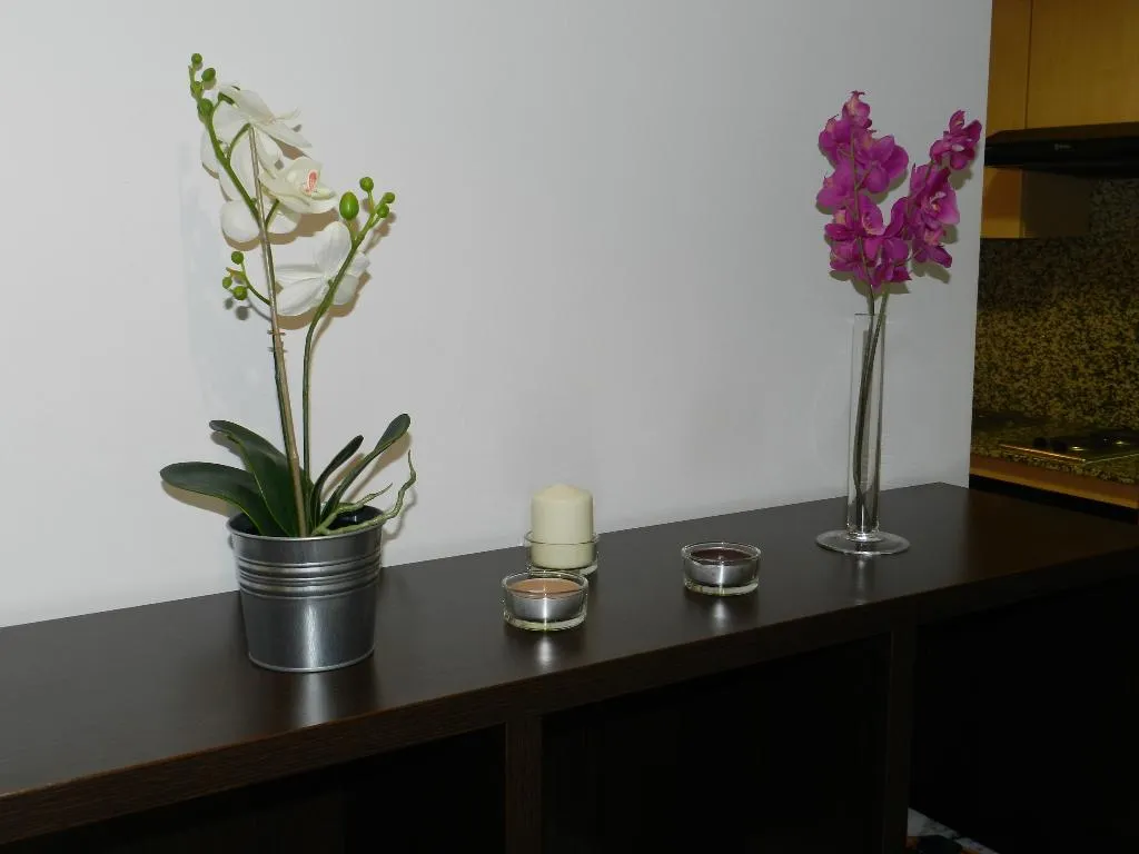 APARTMENT CAPACITY 4 Room, Travessera Parc Guell Apartamentos, Barcelona