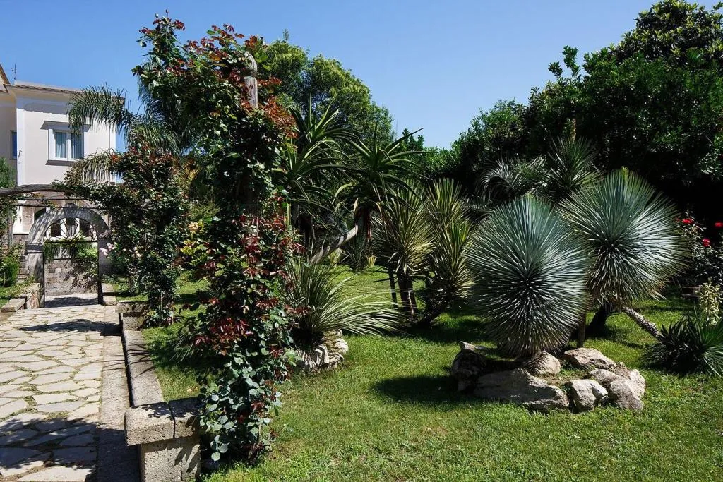 Terrace, Villa Don Camillo, Naples