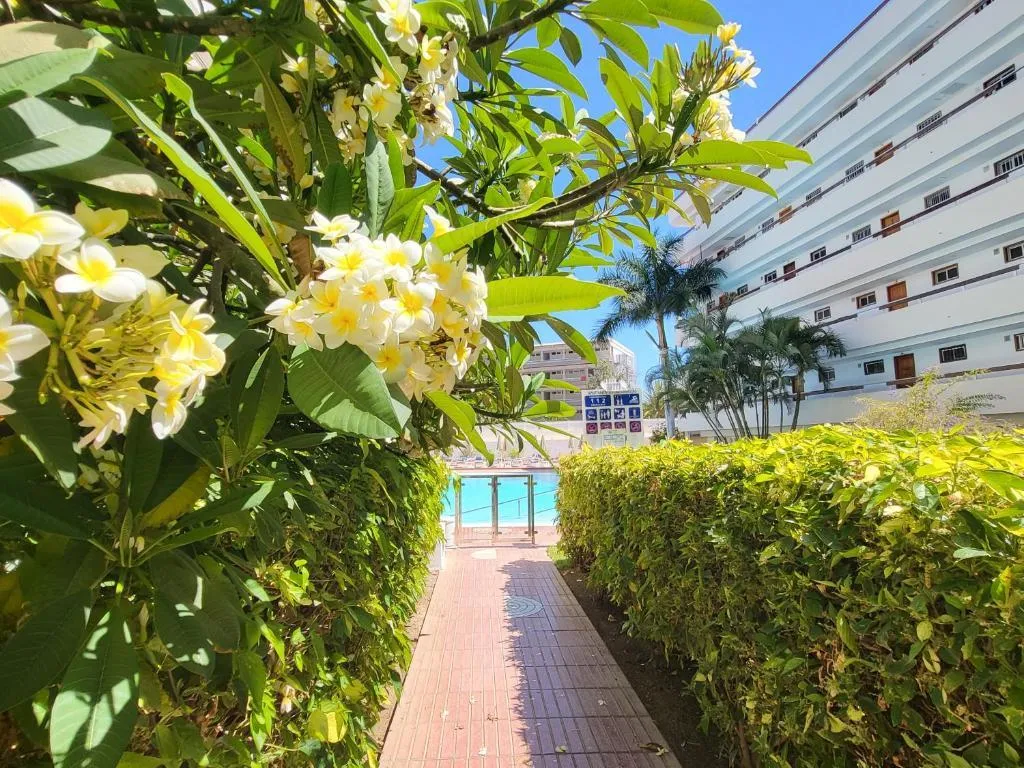 Pool, Las Camelias Apartments, Gran Canaria