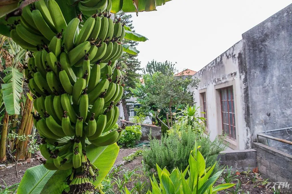 General view, Vitorina Corte Guesthouse, Madeira